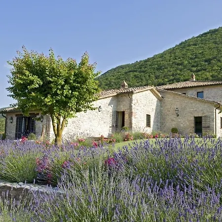 فيلة Sleeps 18 Pool Air Con Wifi Palazzo Guglielmi